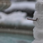 Carolina snowman